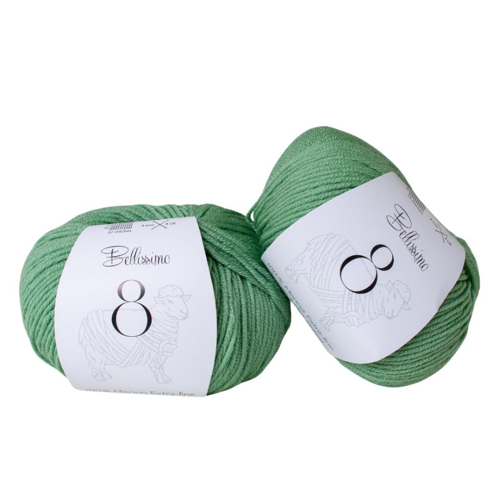Bellissimo Extra Fine Merino 8 Ply 221 Sage