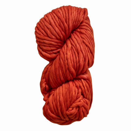 Malabrigo Rasta 016 Glazed Carrot