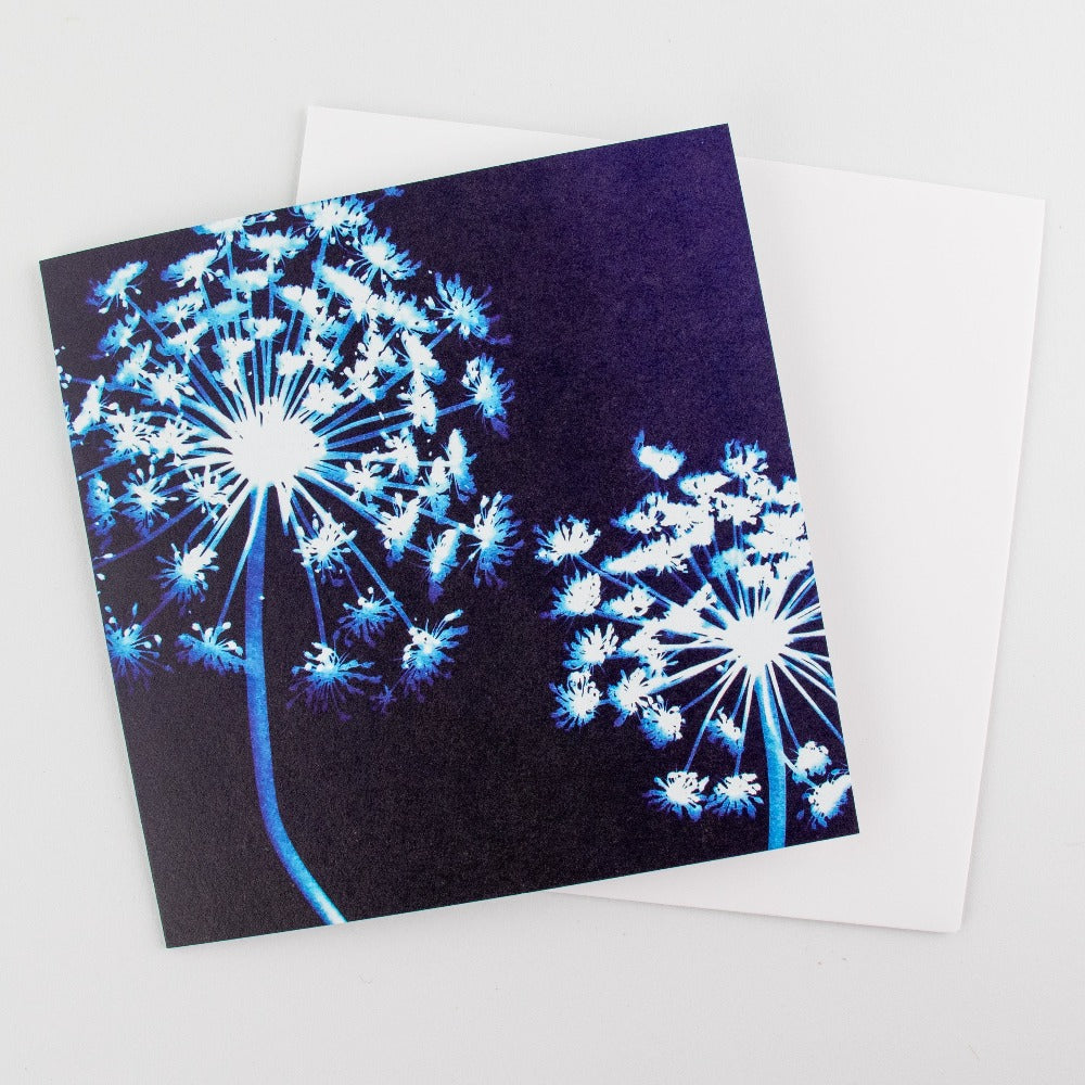 Cyanotype Art Card Queen Anne's Lace