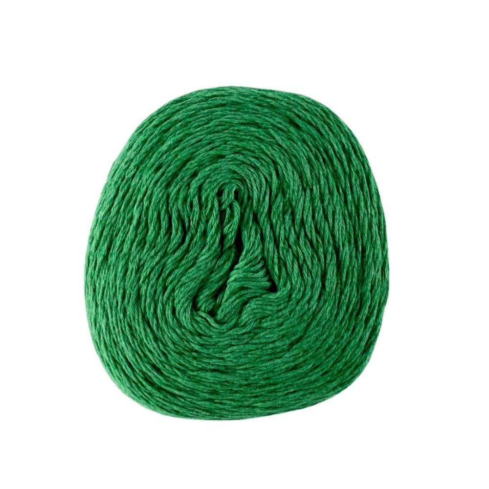 Scheepjes Woolly Whirlette 574 Spearmint