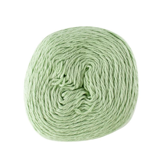 Scheepjes Whirlette 880 Delicious