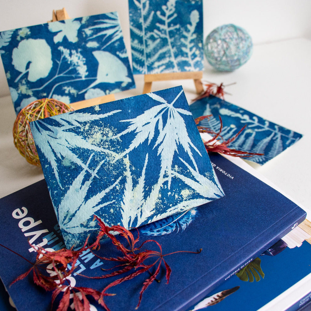Jacquard Cyanotype Set