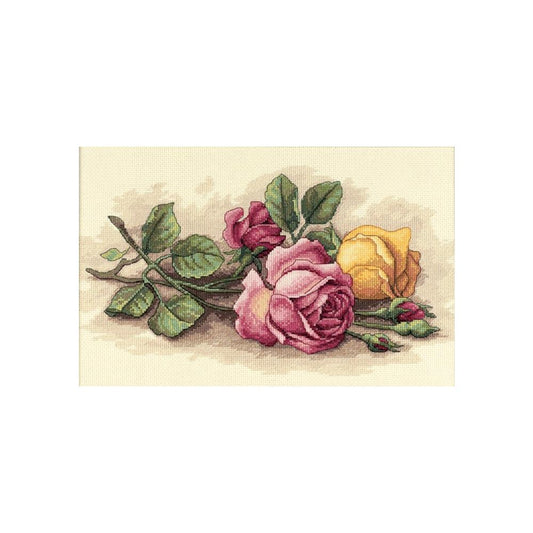 Dimensions 13720 Rose Cuttings