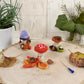 DMC Mushrooms Needle Felting Kit