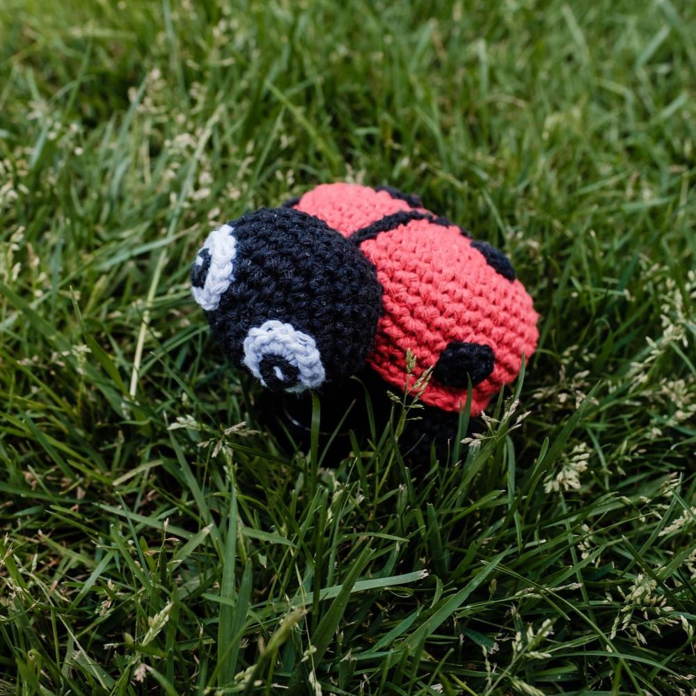 Hoooked Crocheted Amigurumi "Daisy" Ladybird Kit