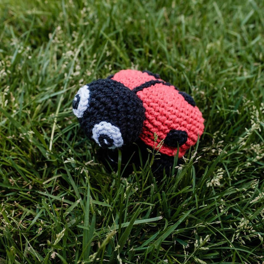 Hoooked Crocheted Amigurumi "Daisy" Ladybird Kit