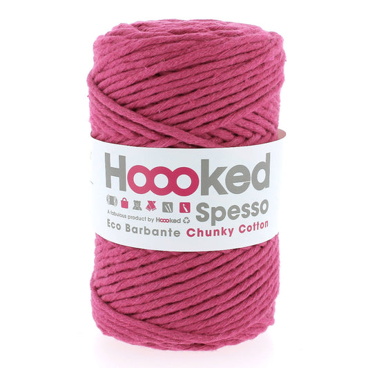 Hoooked Spesso Eco Barbante Chunky Punch 550
