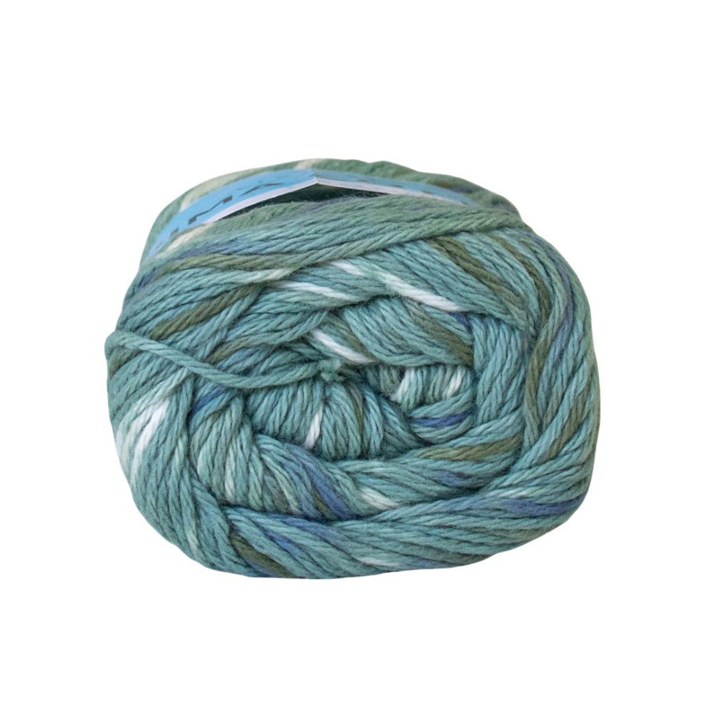 Lion Brand Pima Cotton 502 Patagonia