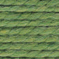 Lion Brand Wool Ease Thick & Quick Grass 131