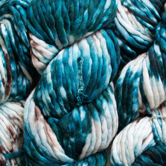 Malabrigo Rasta 168 Costa