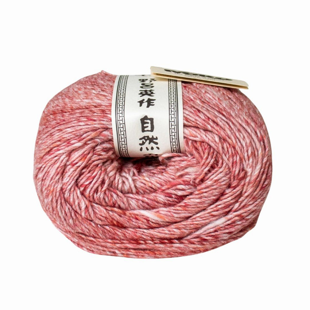 Noro Akari Solo 18 Kuriume