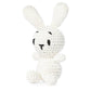 Red Heart "Popcorn the Bunny" Amigurumi Crochet Kit