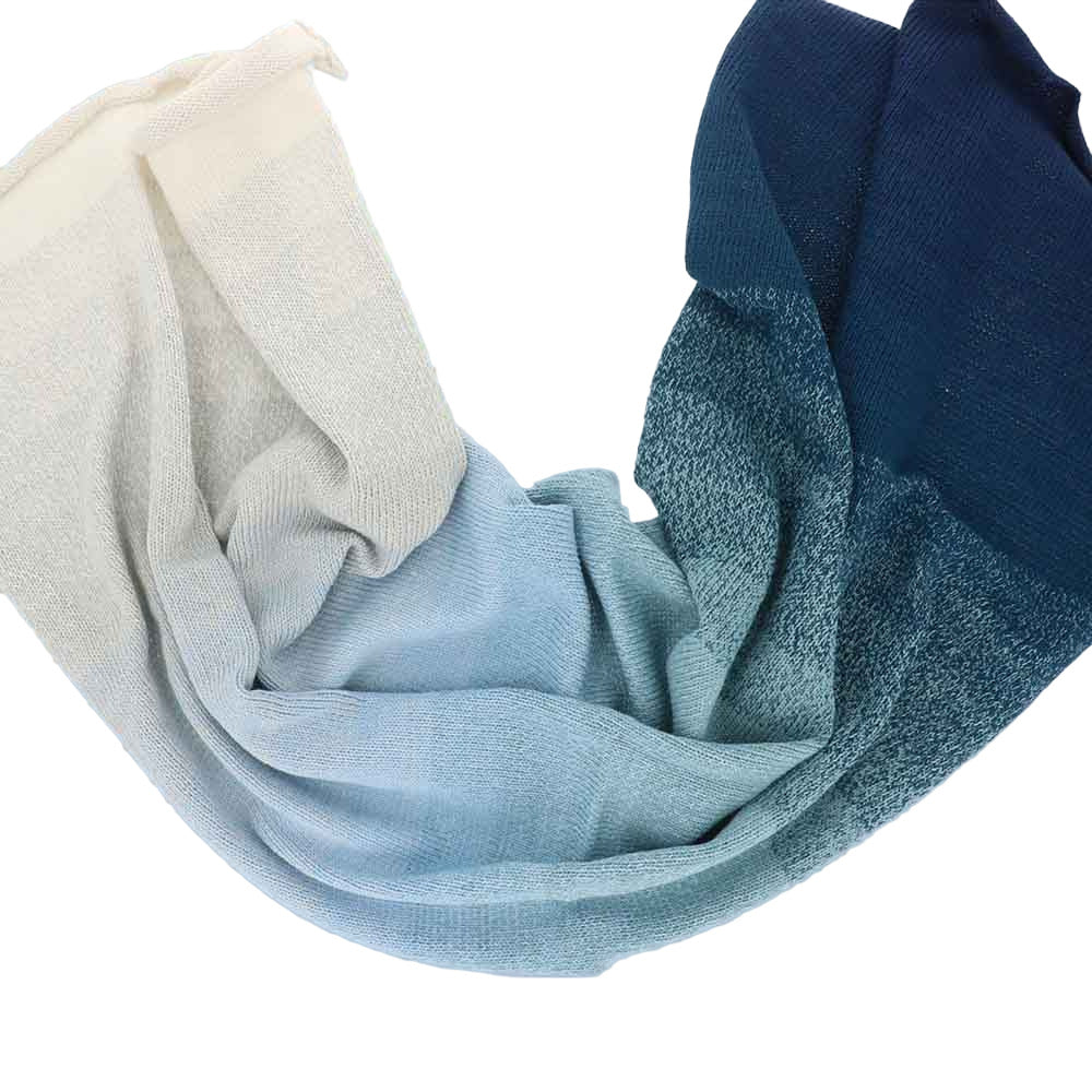 Scheepjes Cotton Whirl 731 Blueberry Swirl