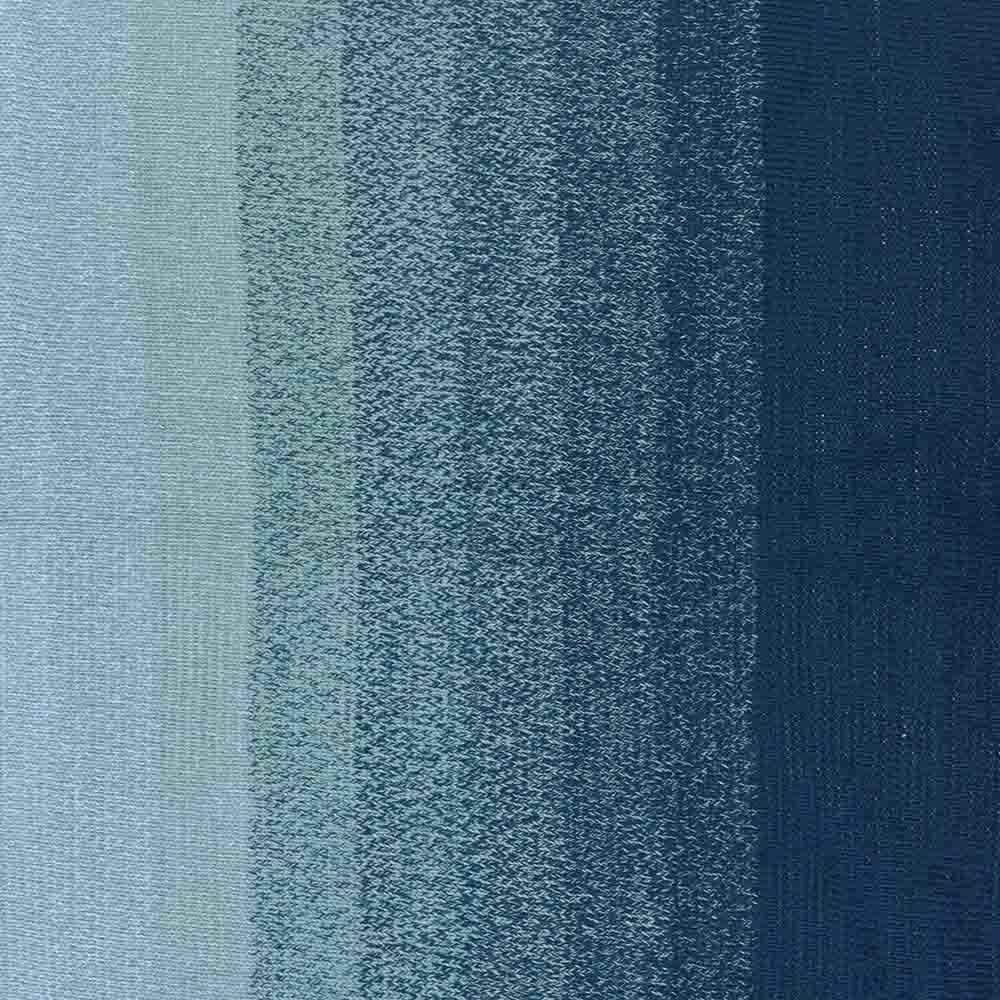 Scheepjes Cotton Whirl 731 Blueberry Swirl