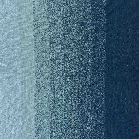 Scheepjes Cotton Whirl 731 Blueberry Swirl