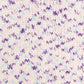 Scheepjes Feel Good 712 Serotonin