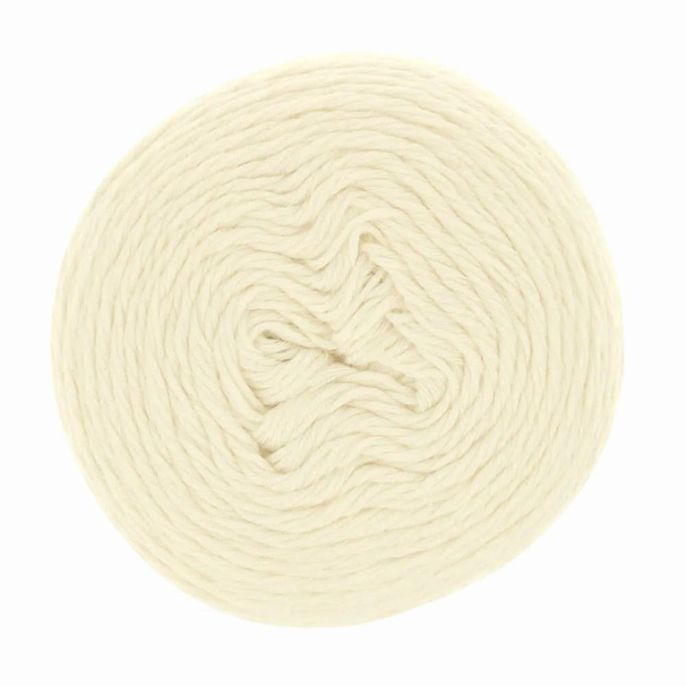 Scheepjes Whirlette 860 Ice