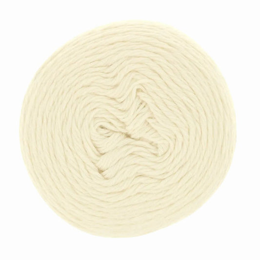 Scheepjes Whirlette 860 Ice