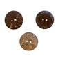 Autumn Flower Coconut Shell Two Hole Button 40mm