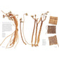 Wild Textiles - Grown, Foraged, Found by Alice Fox