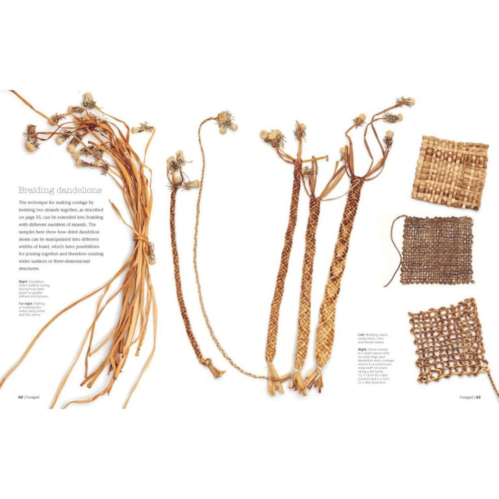 Wild Textiles - Grown, Foraged, Found by Alice Fox