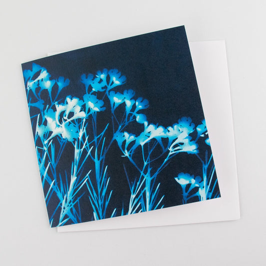 Cyanotype Art Card Geraldton Wax