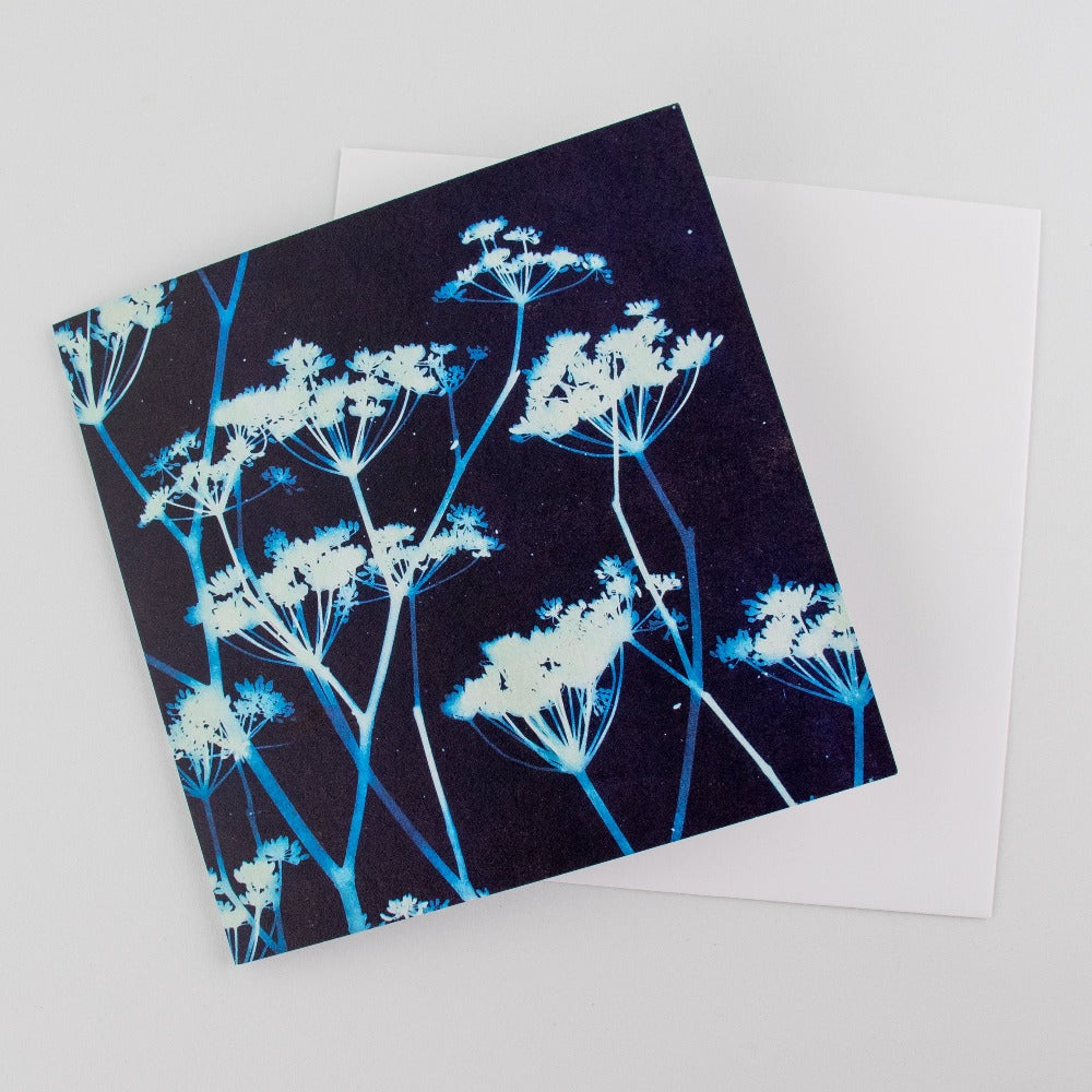 Cyanotype Art Card Wildflower